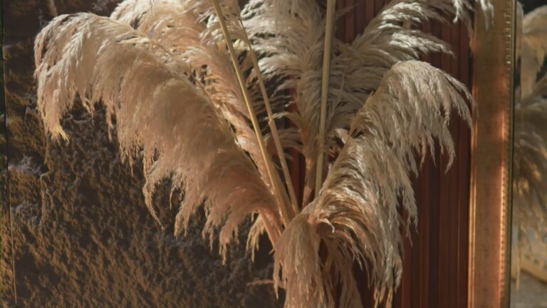 EmaMalkova's Streamate show and profile