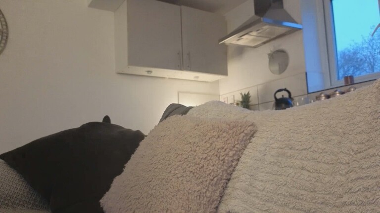 OrgasmicOnyx's Streamate show and profile